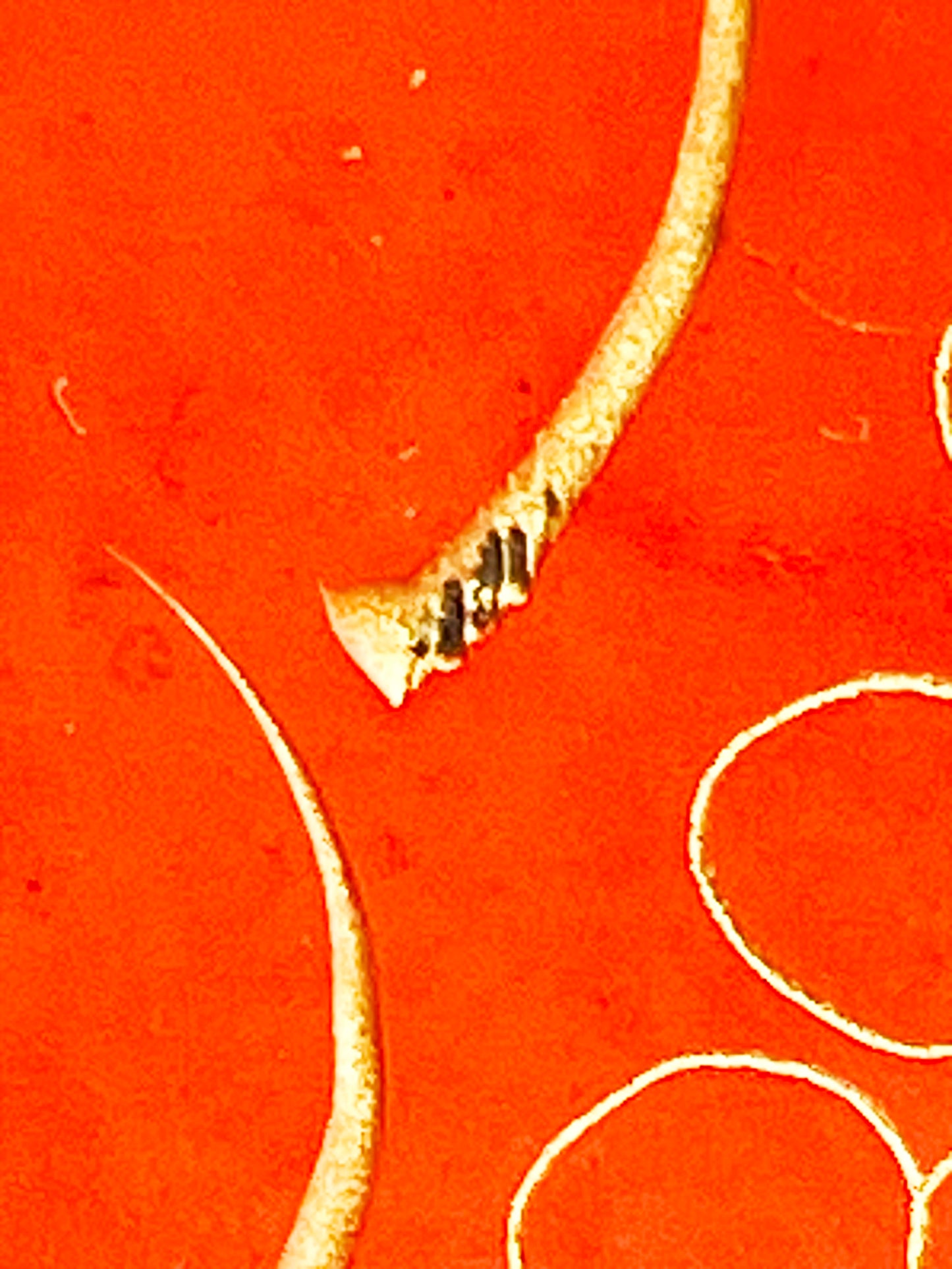 Hidden black character mark engraved into a peony flower stem