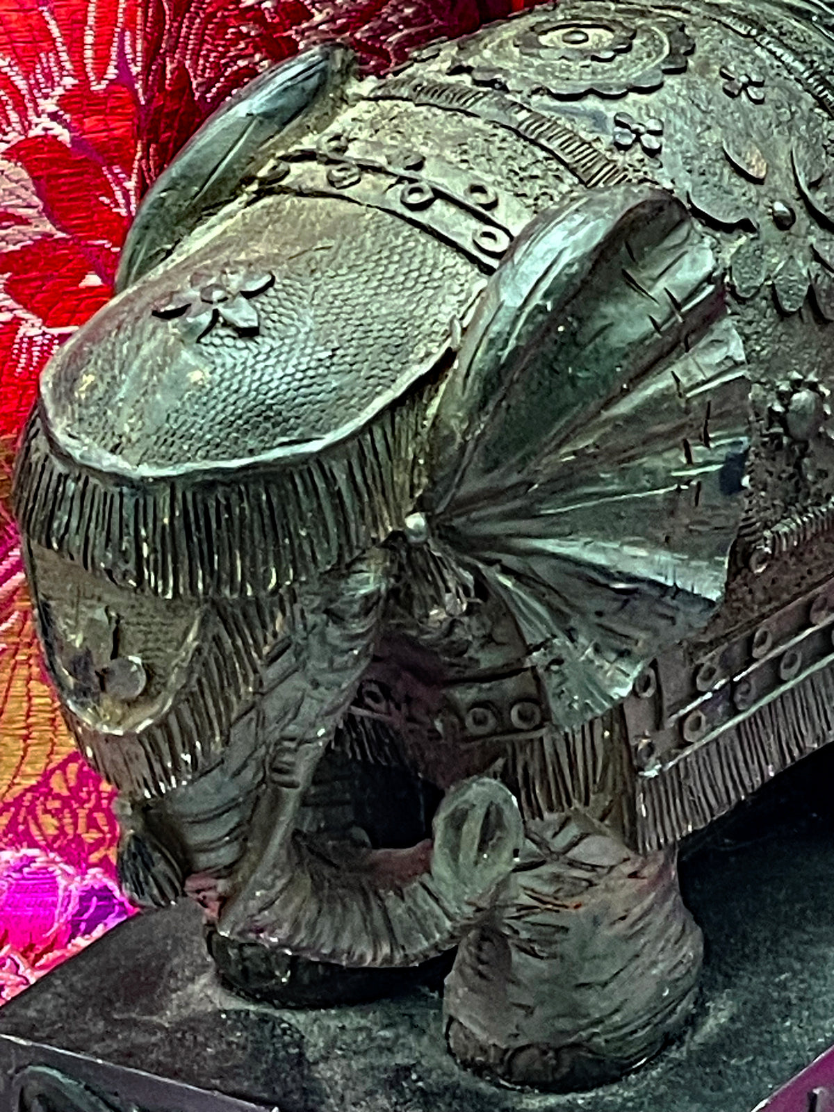 Top detail of elephant showing floral decorated blanket and fanned ears