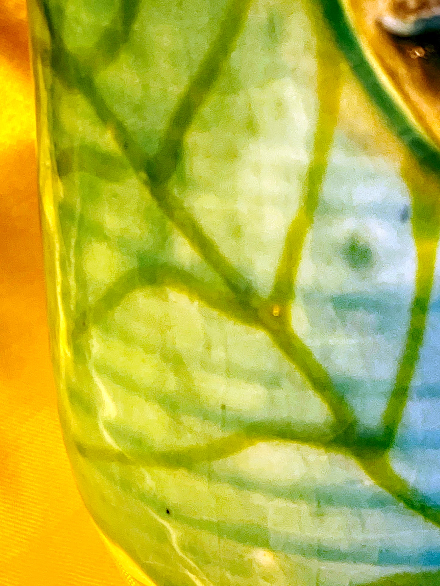 Close-up of the green celadon crackle glaze and vine brushwork
