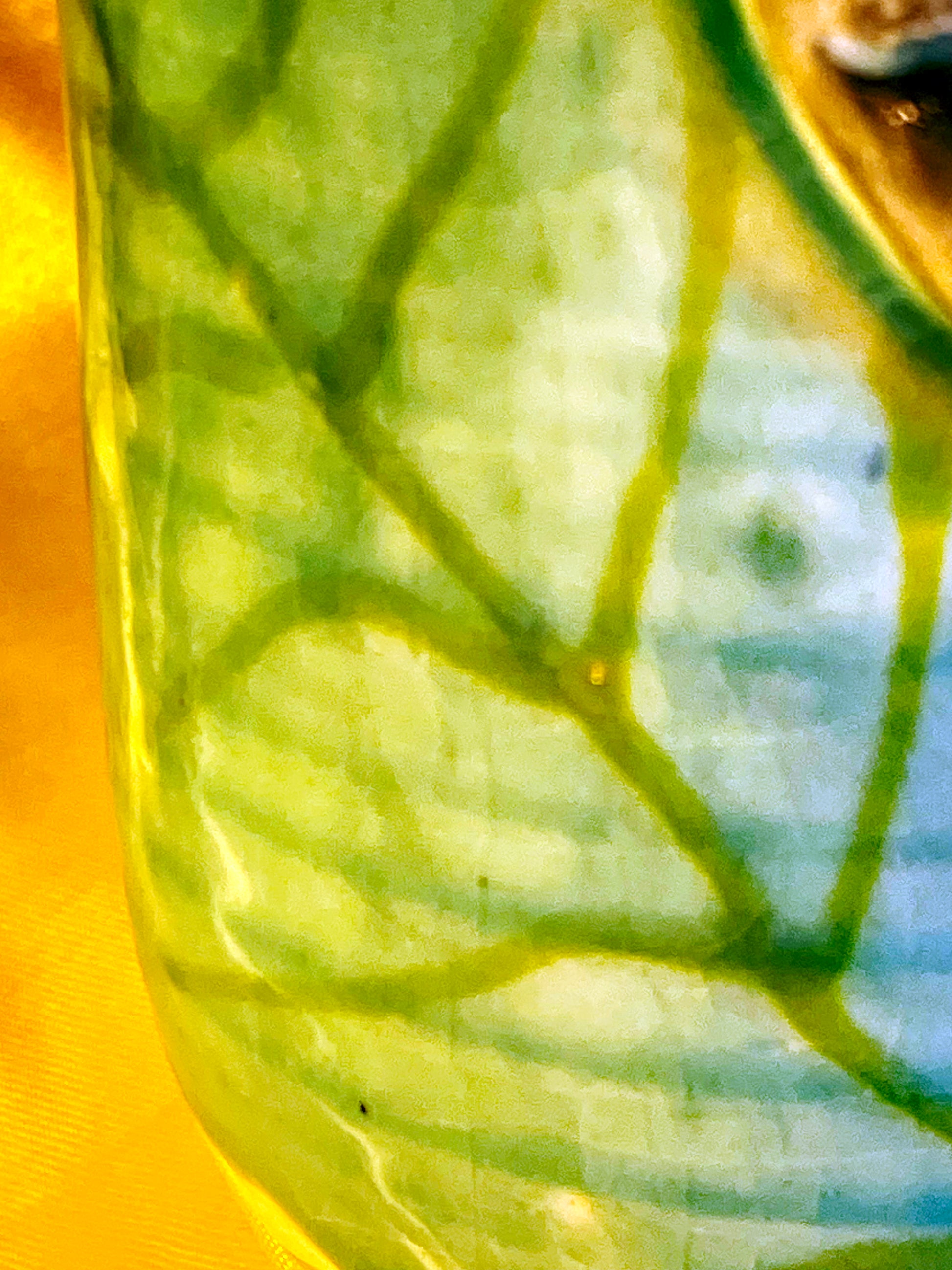 Close-up of the green celadon crackle glaze and vine brushwork