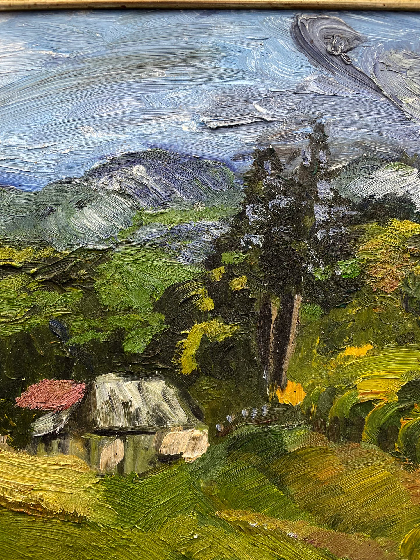 Close detail of a cottage and pine in the painted mountain valley