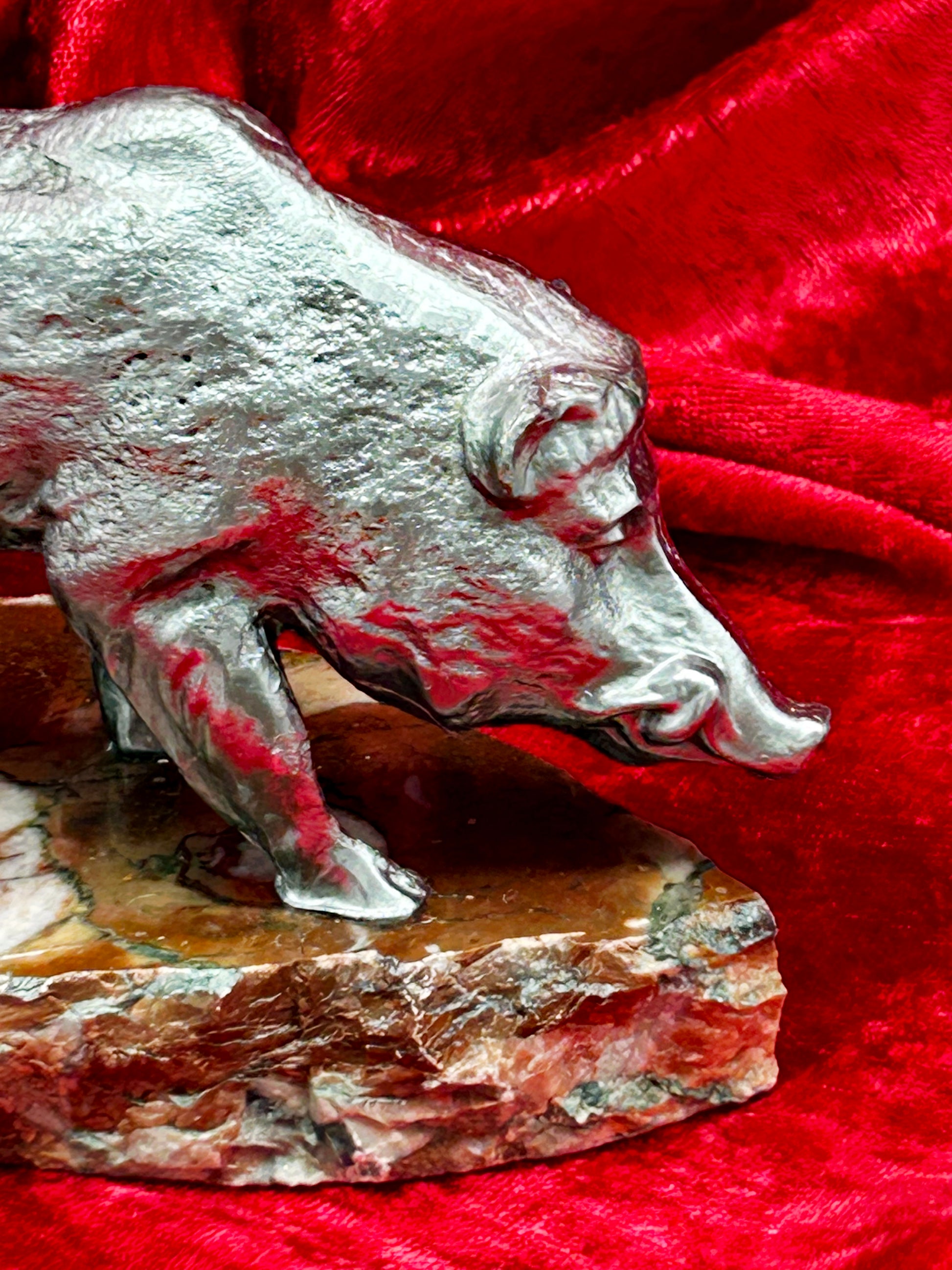 Detail of wild boar head and snout on variegated marble base