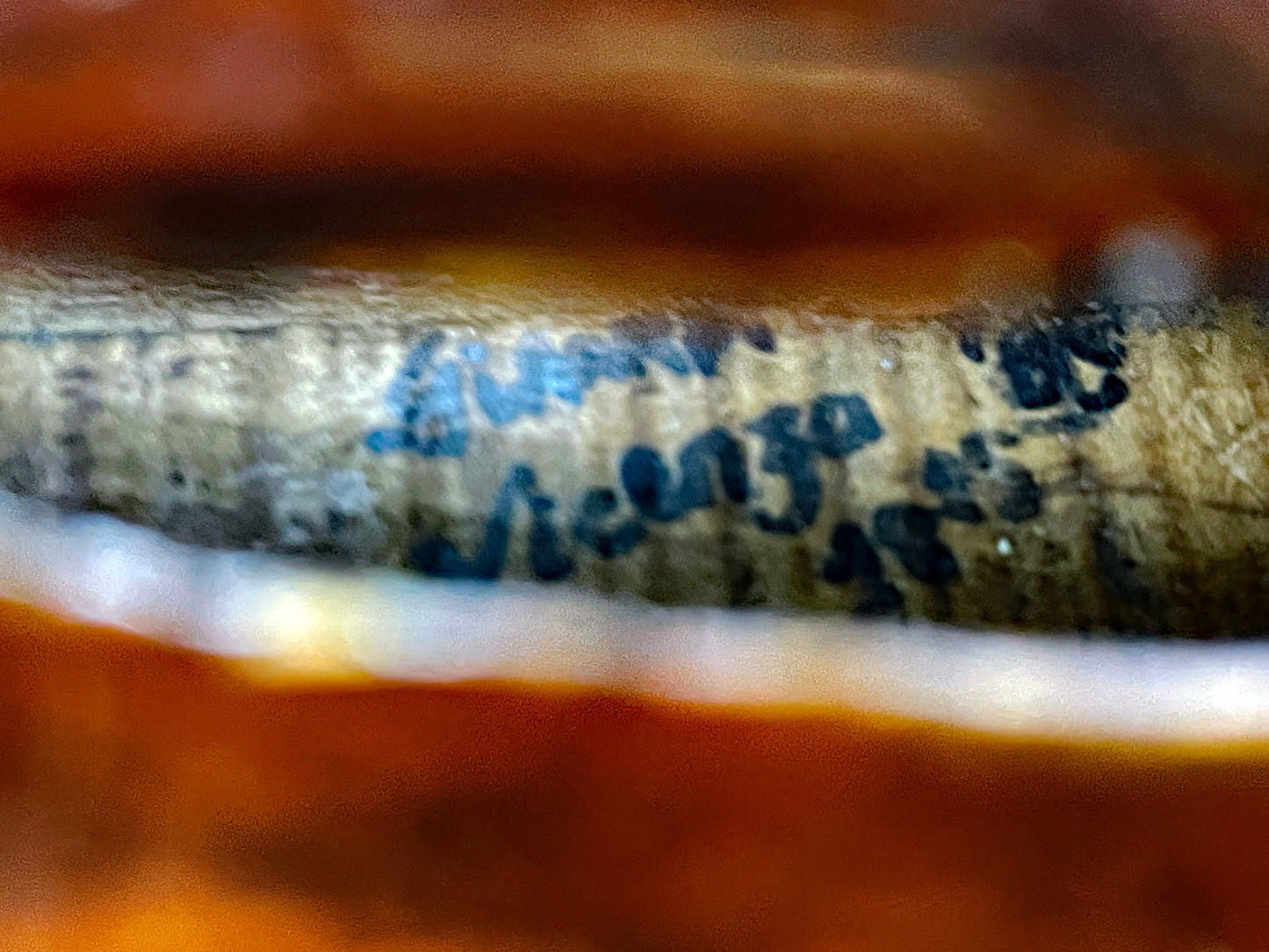 Fine Old Italian Violin Vicenza 1885