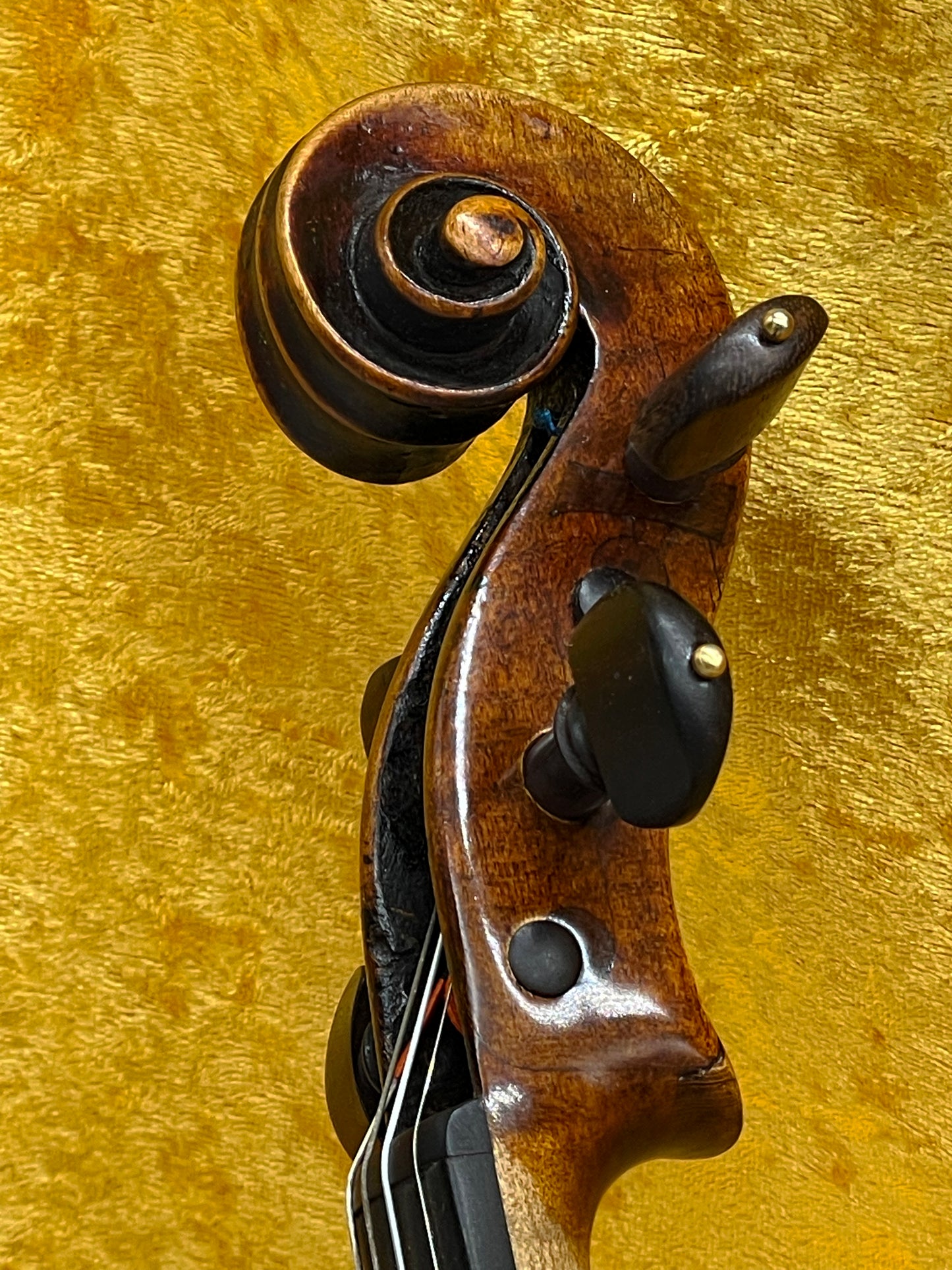 Fine Old Italian Violin Vicenza 1885
