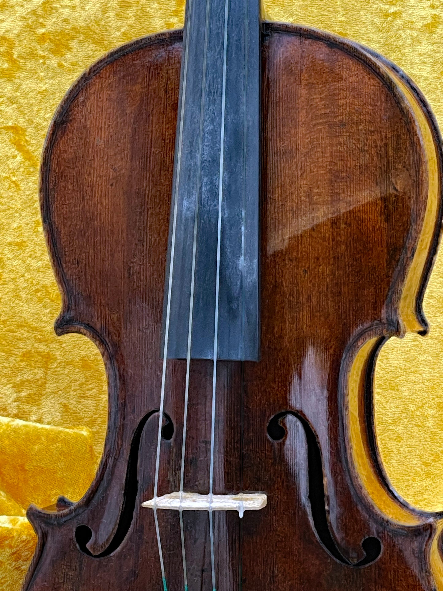Fine Old Italian Violin Vicenza 1885