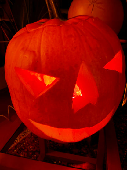 Halloween Special: Mid-Century Terracotta Sphere Table Lamp with Etched Leaf Motif