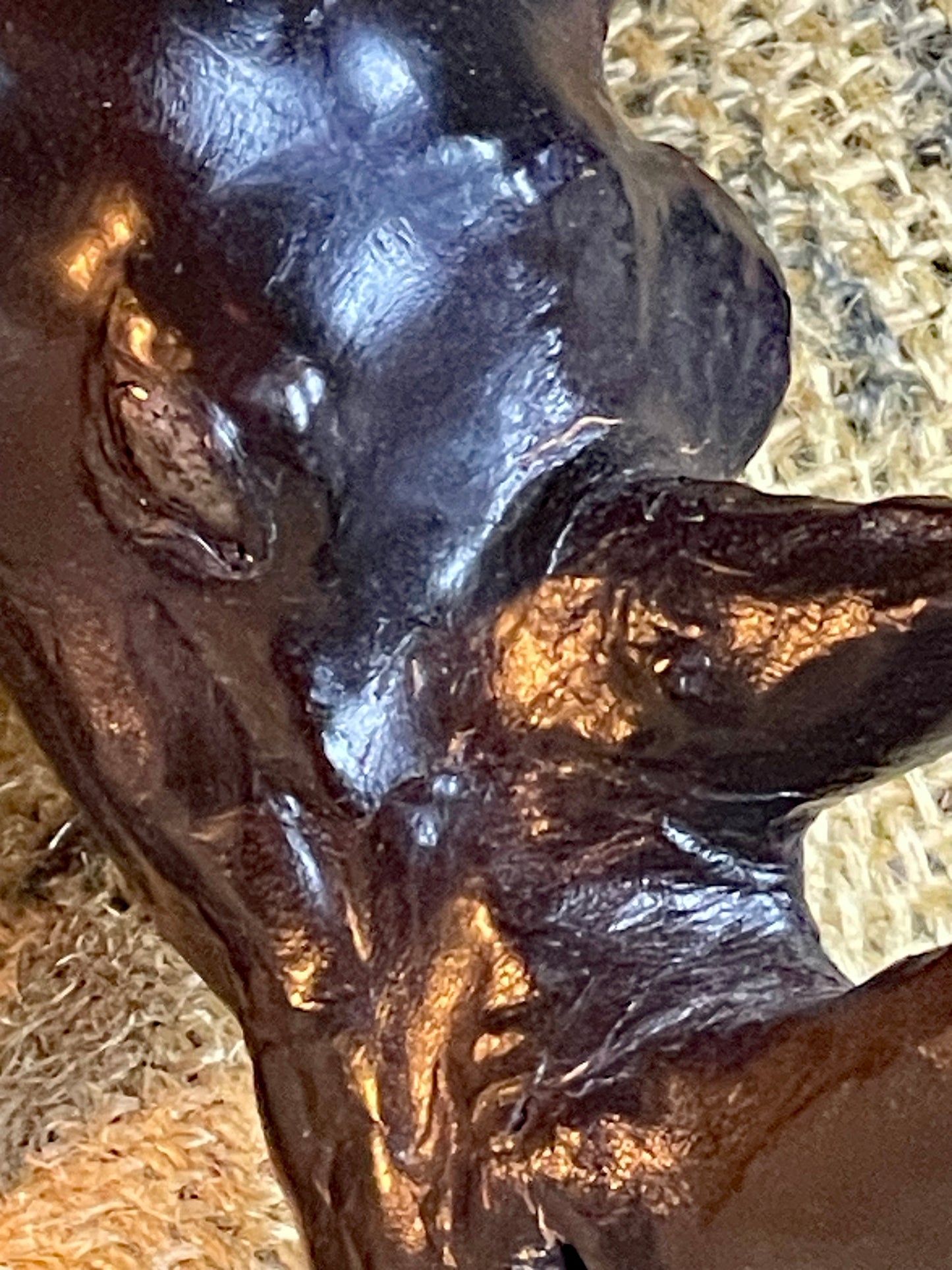 Detail of the recessed Murano glass eye and bear-paw maker's mark