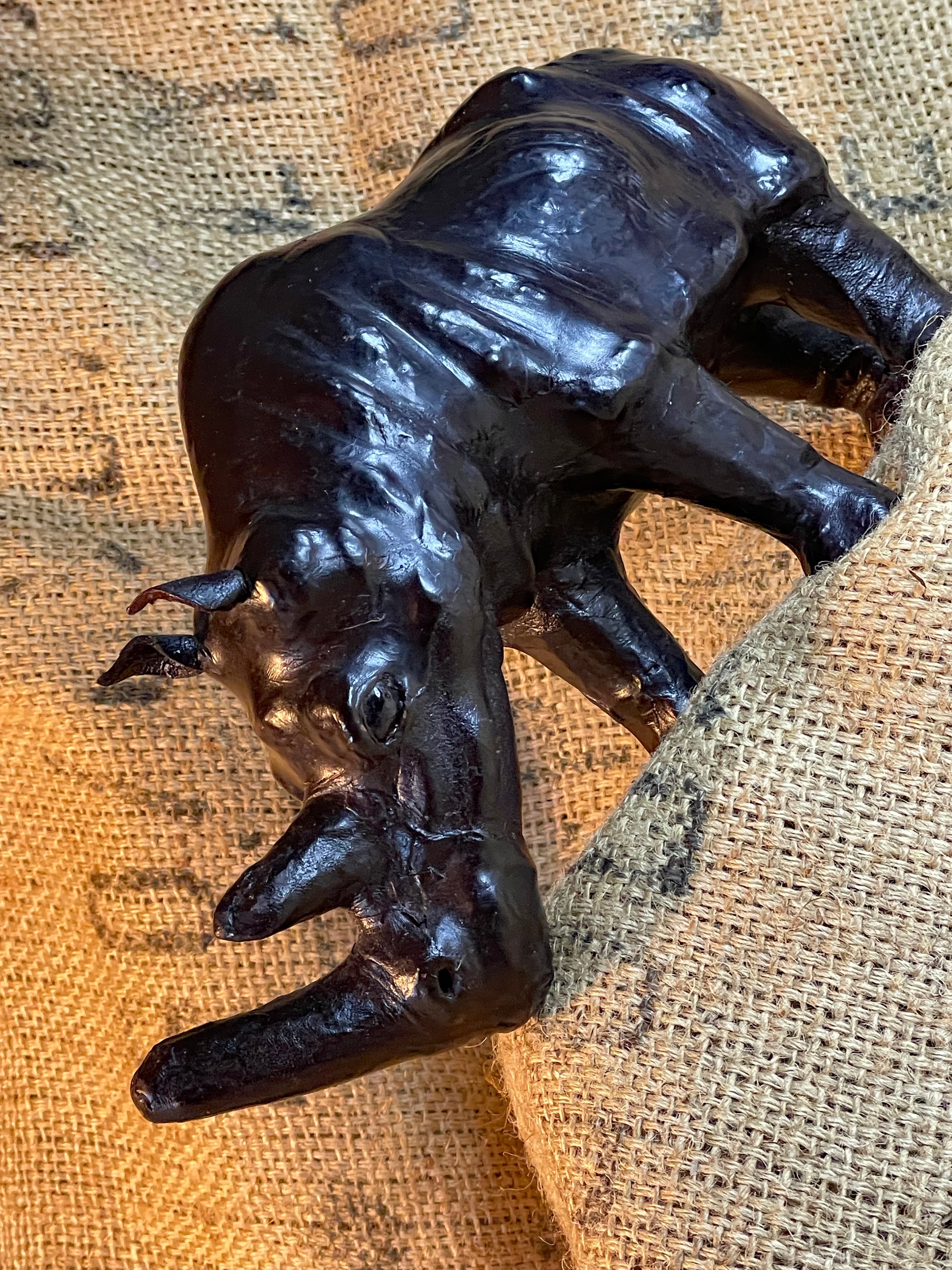 Top three-quarter overview of the leather rhinoceros