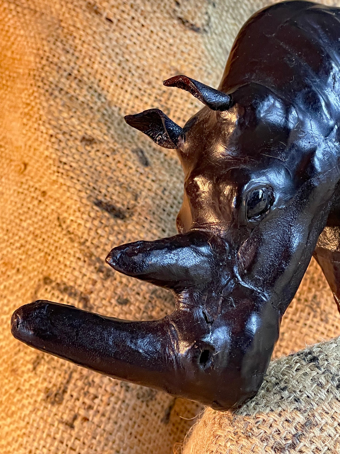 Close-up of the rhino's double horn and Murano glass eye