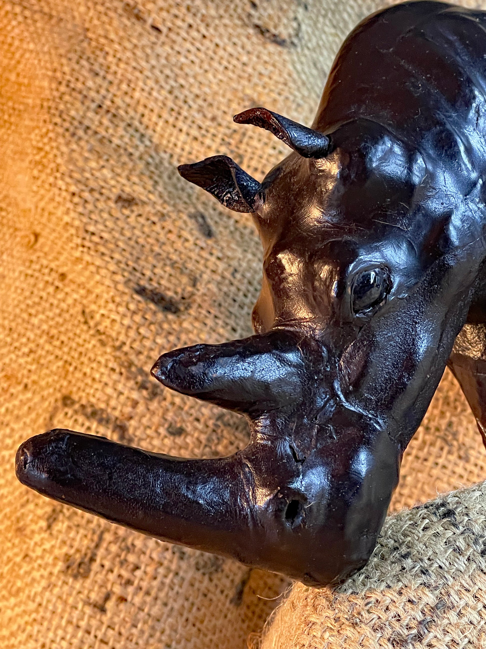 Close-up of the rhino's double horn and Murano glass eye