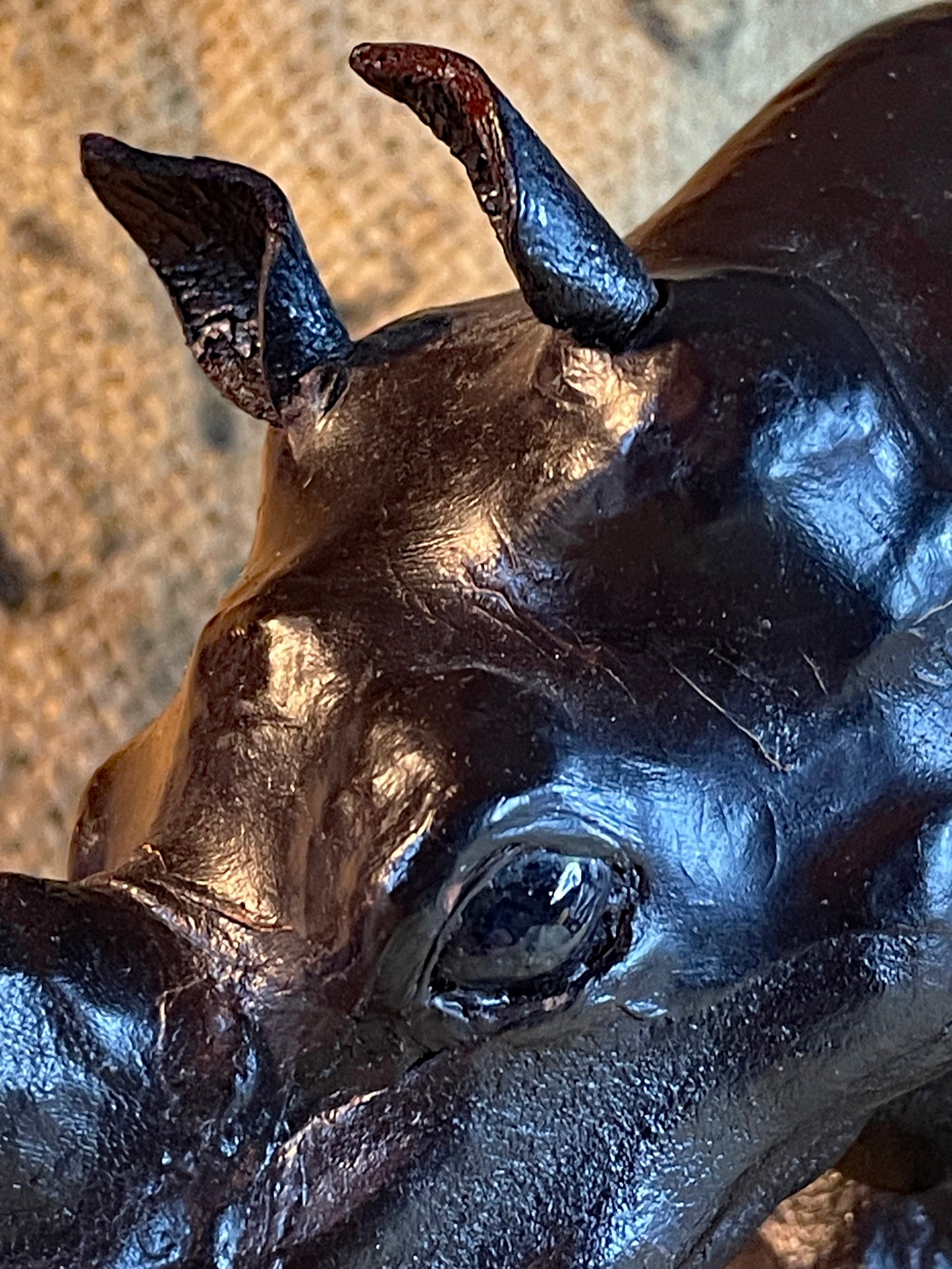 Close-up of the head, horns and glass eye