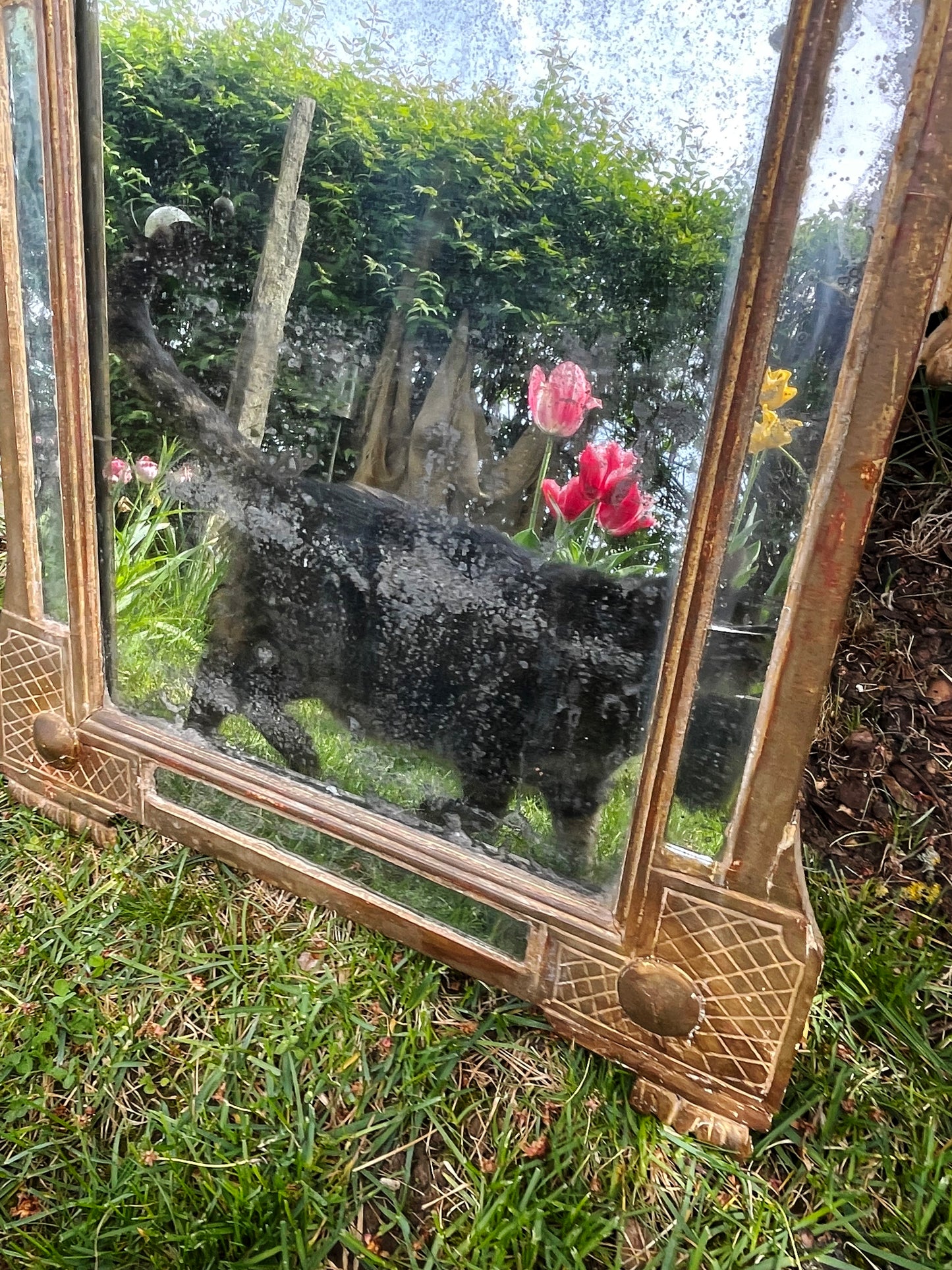 🪞 18th Century French Louis XVI Giltwood Mirror — Hand-Carved Neoclassical Wall Mirror, c. 1780, From a Manor House Outside Paris