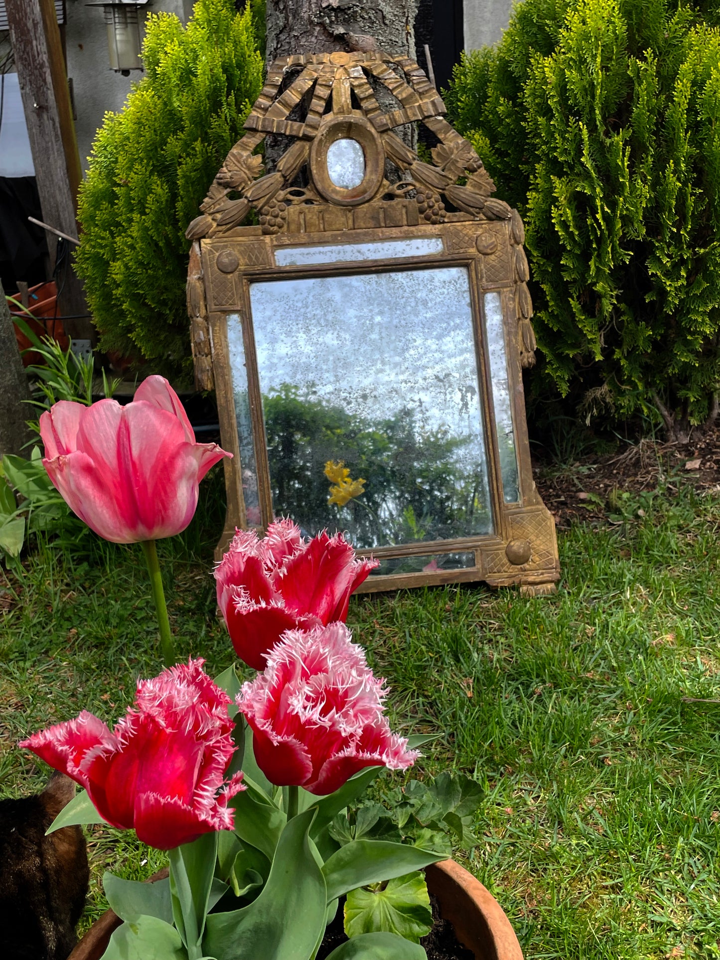 🪞 18th Century French Louis XVI Giltwood Mirror — Hand-Carved Neoclassical Wall Mirror, c. 1780, From a Manor House Outside Paris