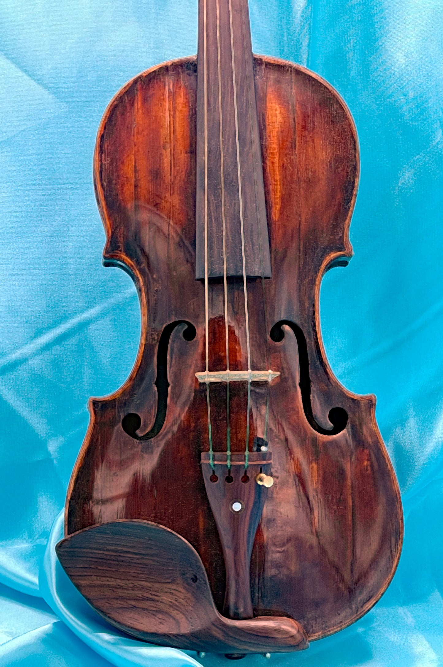 Antique restored violin front with deep amber chestnut varnish, Cincinnati Adolph Spicker label