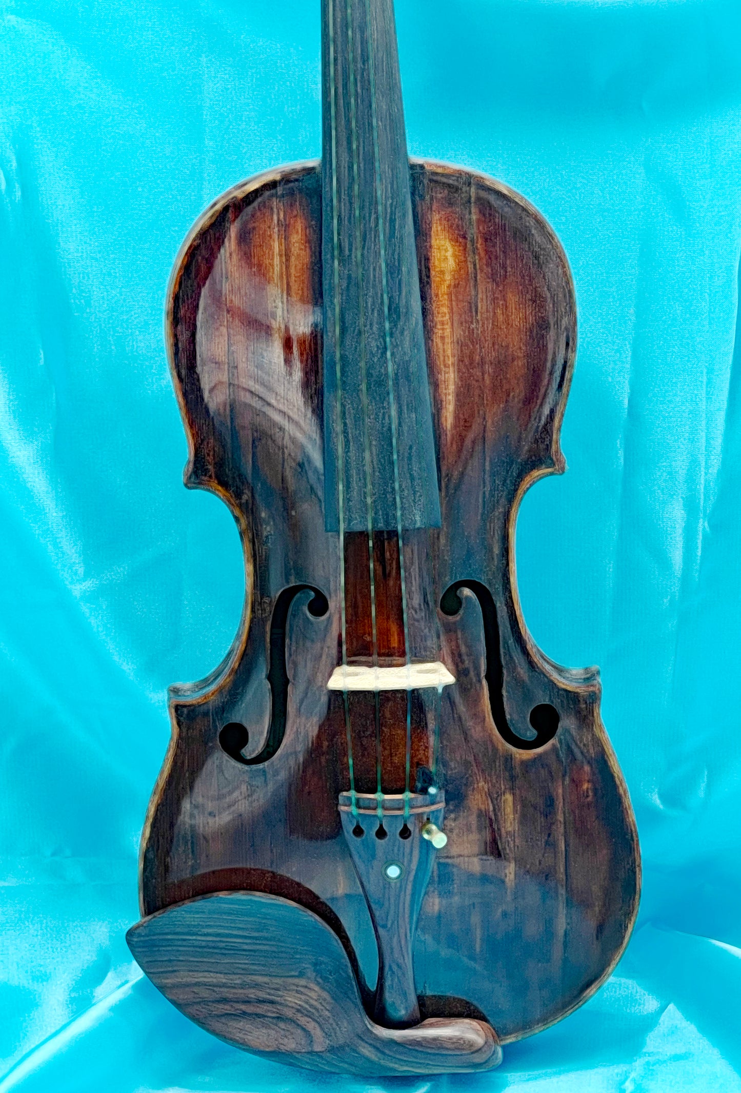 Antique violin full body view showing patina and ebony fittings