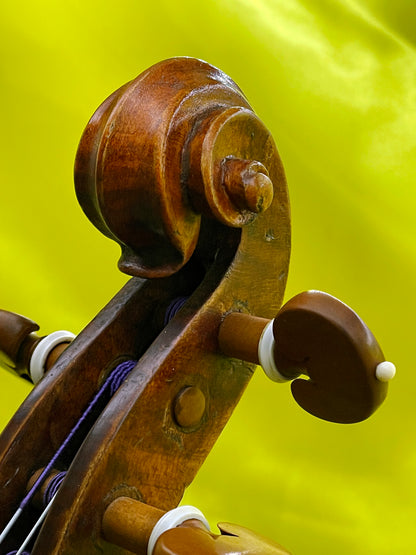 Unique Custom-Made Concert Violin with Swan-Head Scroll