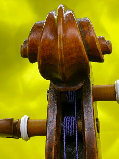 Unique Custom-Made Concert Violin with Swan-Head Scroll