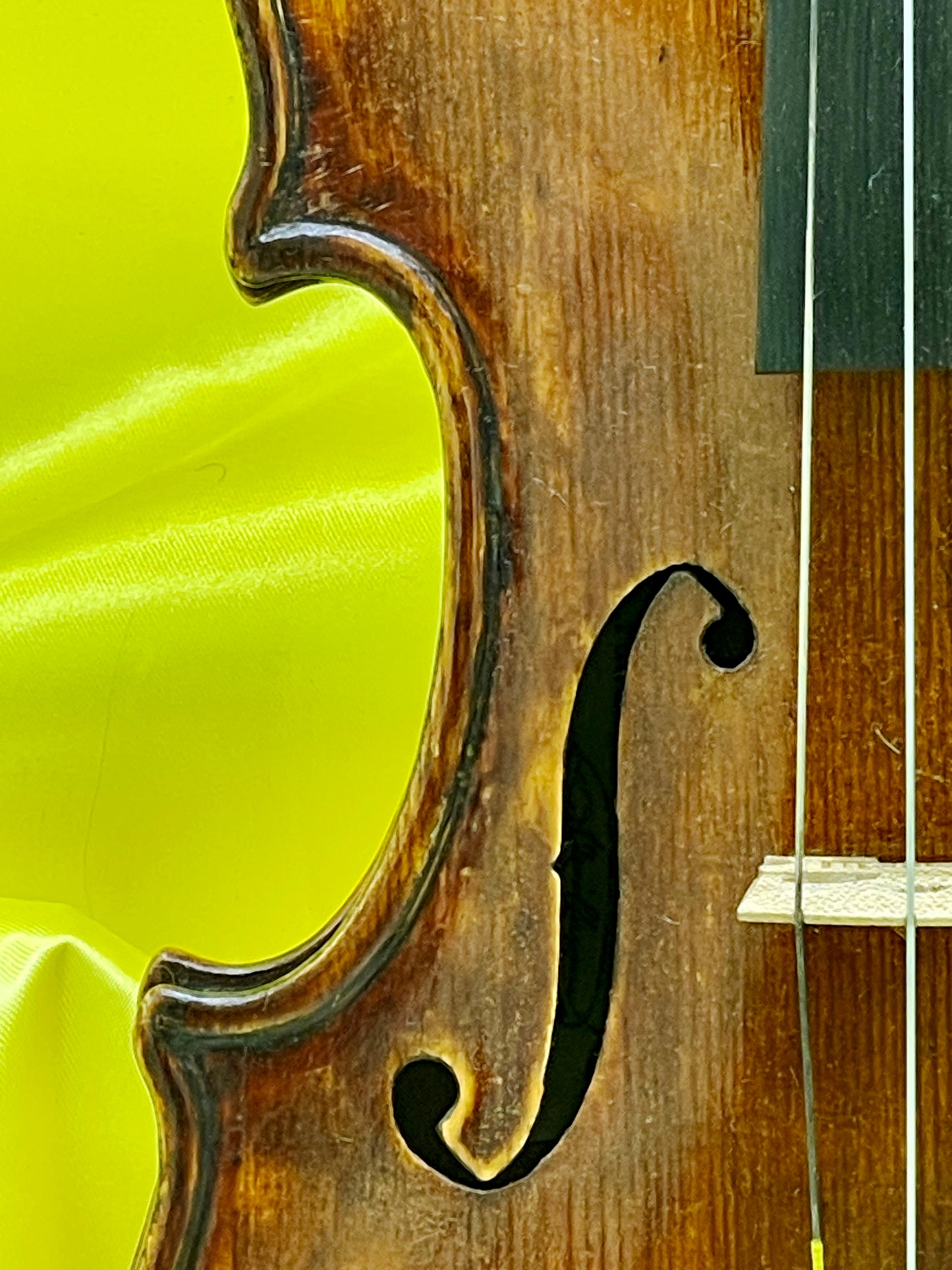 Unique Custom-Made Concert Violin with Swan-Head Scroll