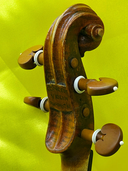 Unique Custom-Made Concert Violin with Swan-Head Scroll