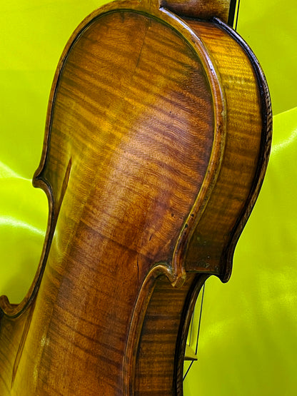 Unique Custom-Made Concert Violin with Swan-Head Scroll