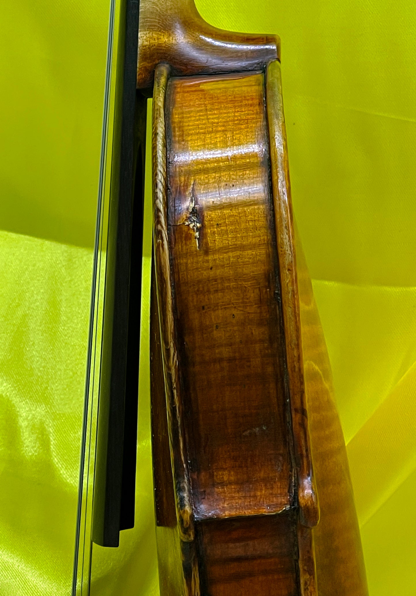 Unique Custom-Made Concert Violin with Swan-Head Scroll
