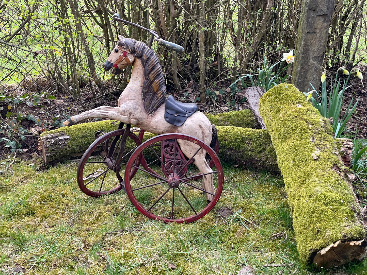Antique 19th century French carved wood horse tricycle, full side profile on a cast iron velocipede frame with red spoked wheels