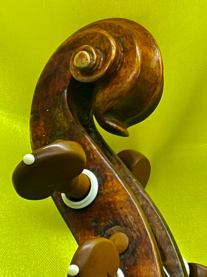 Unique Custom-Made Concert Violin with Swan-Head Scroll