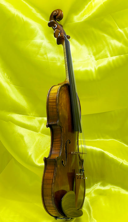 Unique Custom-Made Concert Violin with Swan-Head Scroll