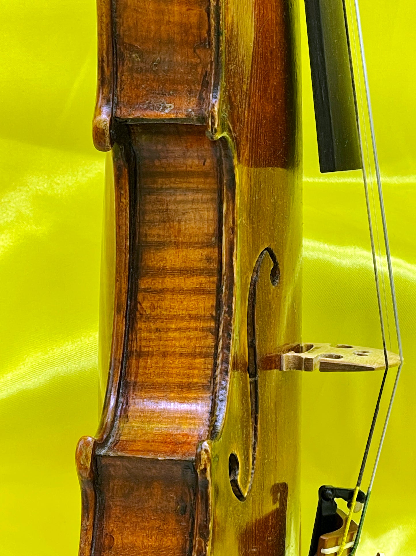 Unique Custom-Made Concert Violin with Swan-Head Scroll