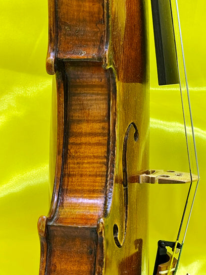 Unique Custom-Made Concert Violin with Swan-Head Scroll