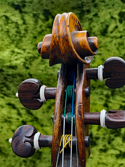 Old Italian Violin with Rare Light-Yellow Varnish | MILANO