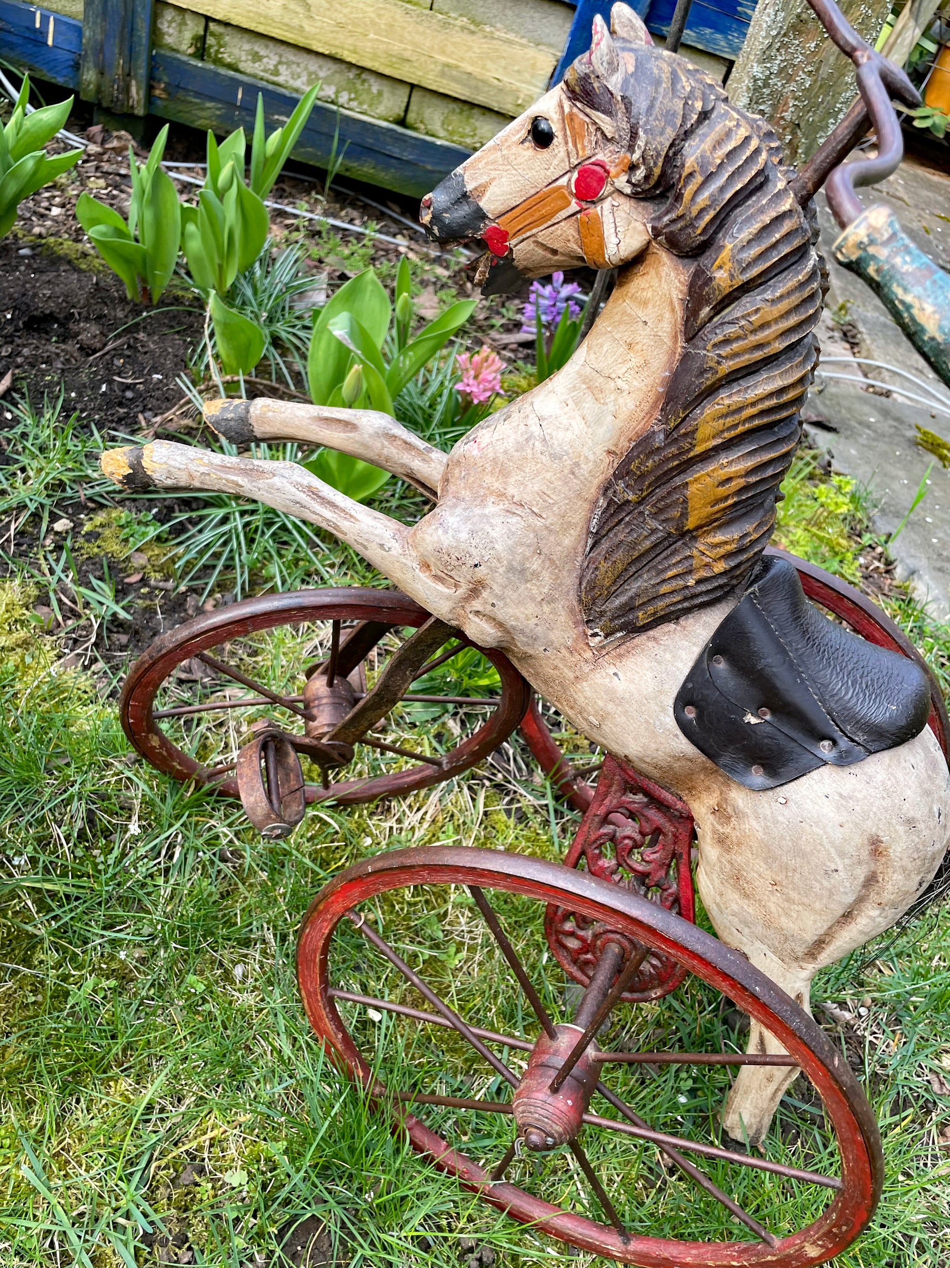 Antique French horse tricycle photographed among spring flowers, showing overall condition and patina