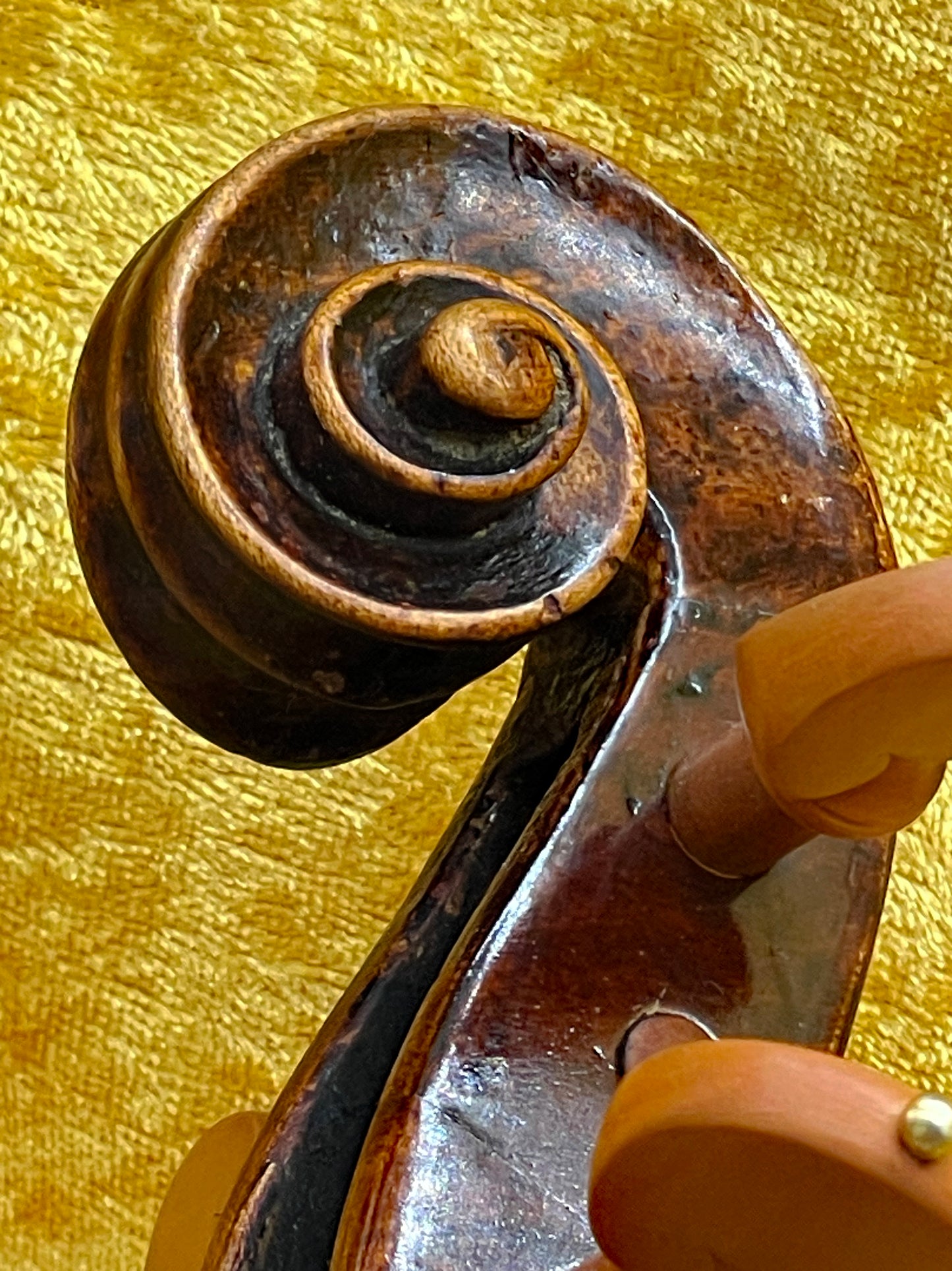 Antique Italian Violin Sweet Depth & Brilliant Tone | CARLO