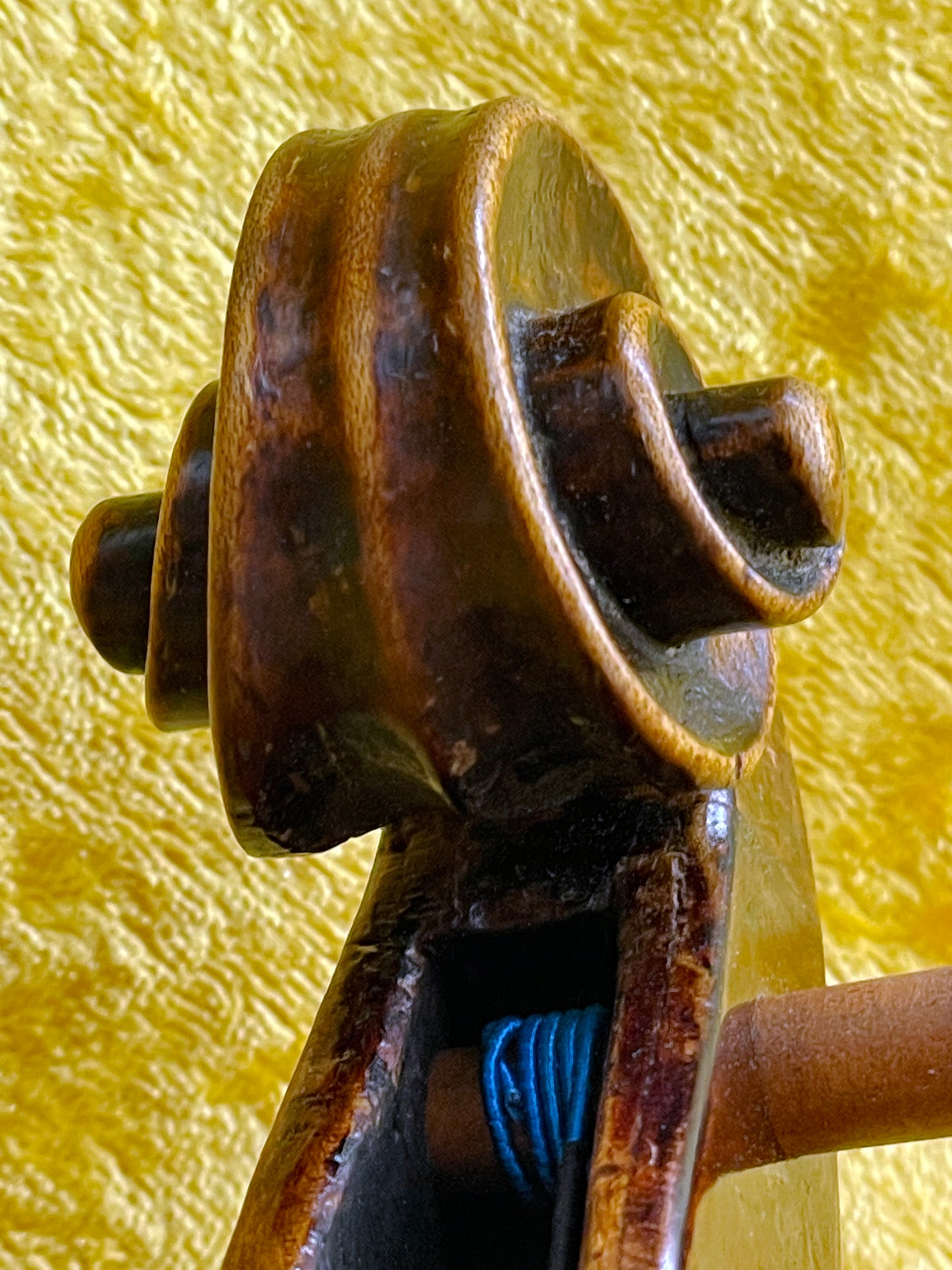 Antique Italian Violin Sweet Depth & Brilliant Tone | CARLO