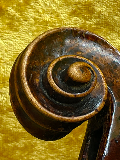 Antique Italian Violin Sweet Depth & Brilliant Tone | CARLO