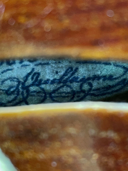 Unique Custom-Made Concert Violin with Swan-Head Scroll