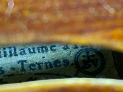 Unique Custom-Made Concert Violin with Swan-Head Scroll