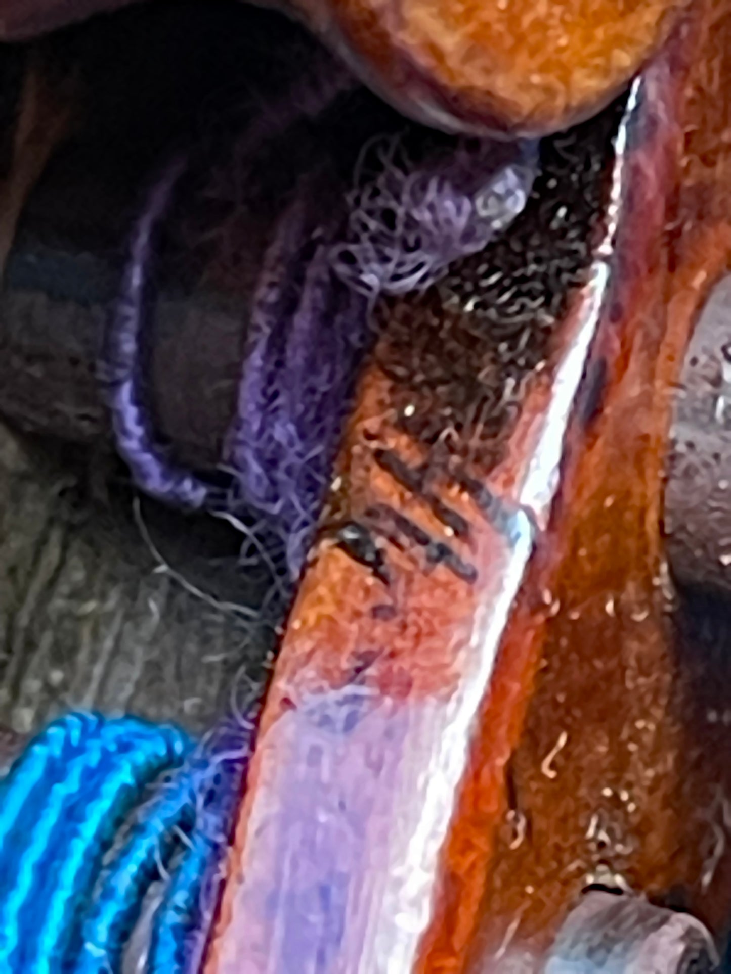 Fine Antique Italian Violin | Hand-Crafted Master Instrument with Brilliant Tone | From Professional Musician's Estate