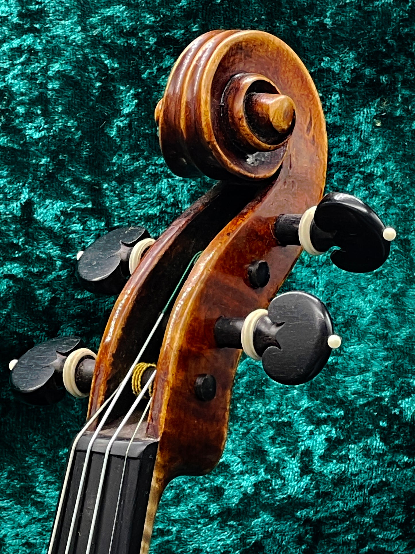 Antique Italian Master Violin FIRENZE 1885