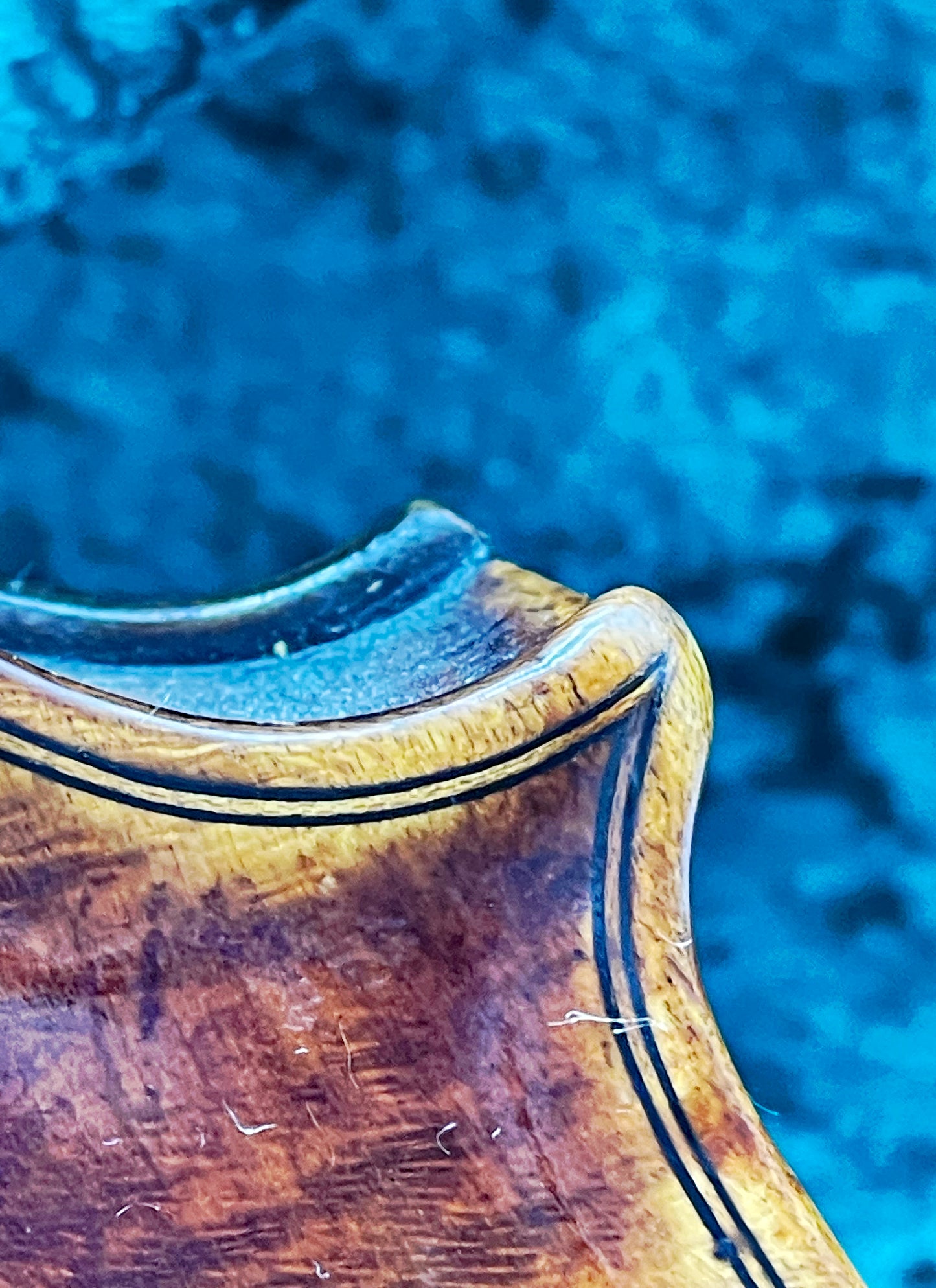 Antique Italian Master Violin FIRENZE 1885