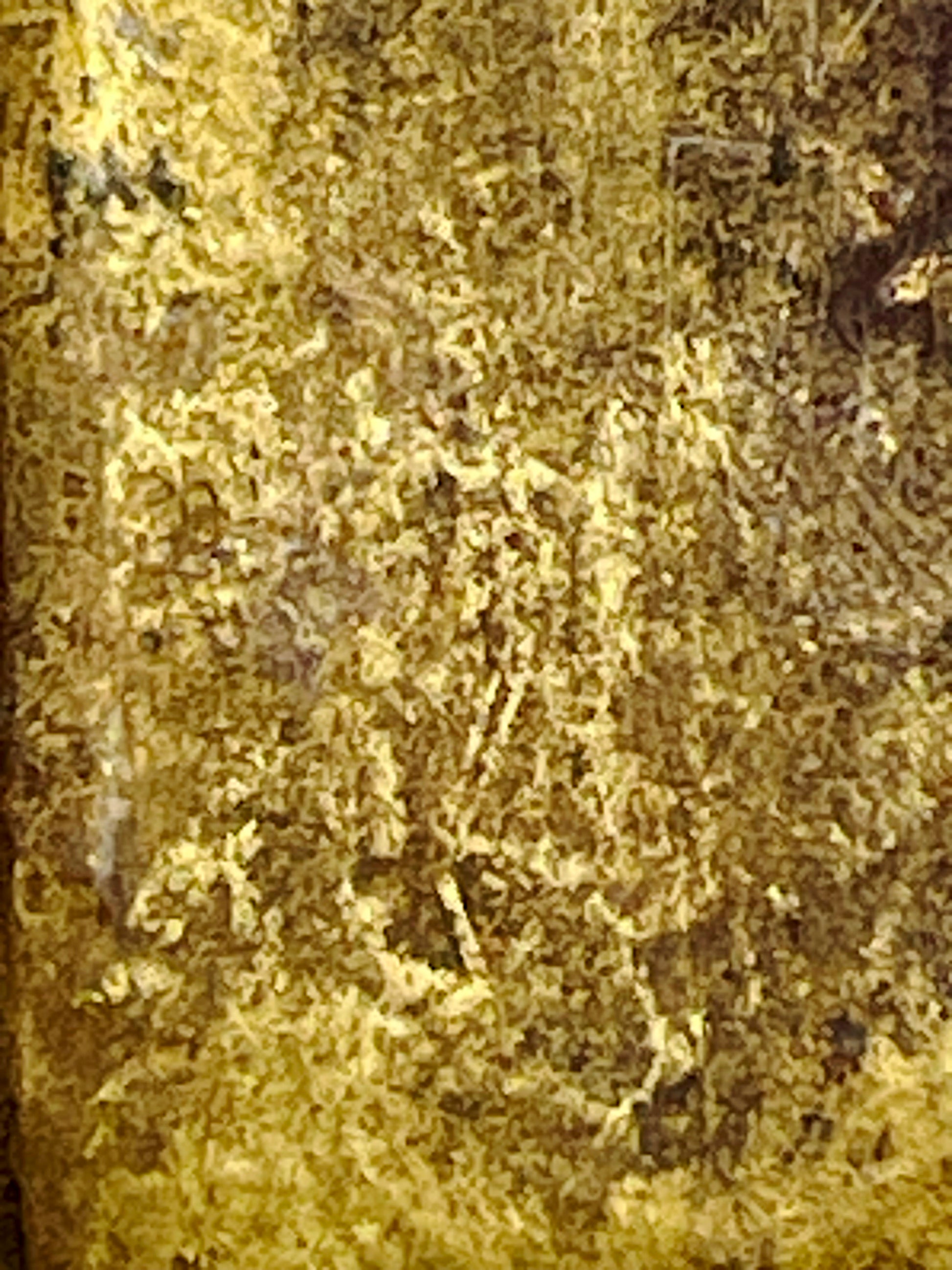 Engraved inscription on the reverse confirming hand workmanship