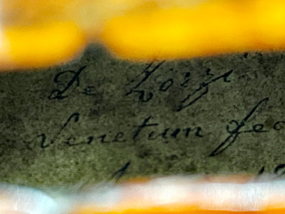 Antique Italian Master Violin FIRENZE 1885