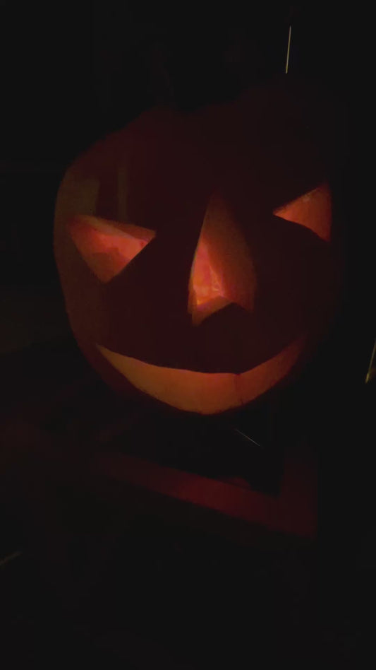 Halloween Special: Mid-Century Terracotta Sphere Table Lamp with Etched Leaf Motif